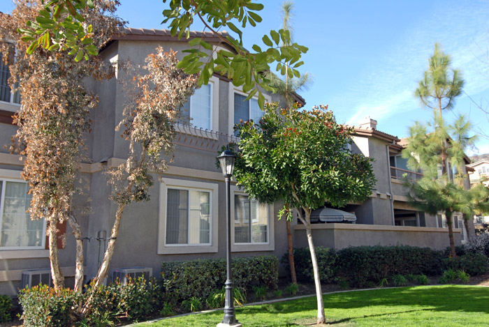 executive apartments